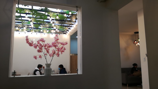 Electiva Café - Pamplona