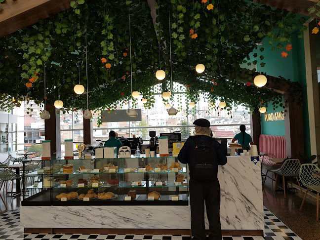 Macadamia Unicentro, Pasto - Pasto