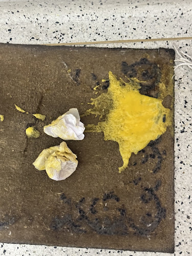 Da Quei Matti Mazurén