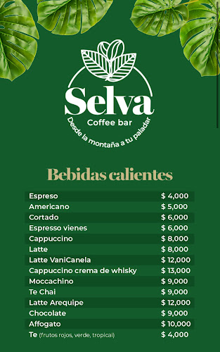 Selva cafe - Santa Marta