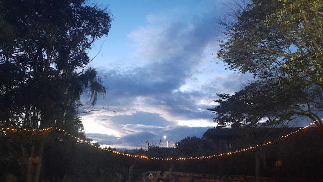 la caverna del oso burguer - Chía