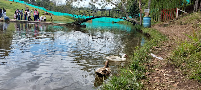 Cafeteria La Fresa - Gastronomía y hostelería