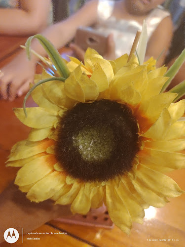 Froid Yogurt - Gastronomía y hostelería