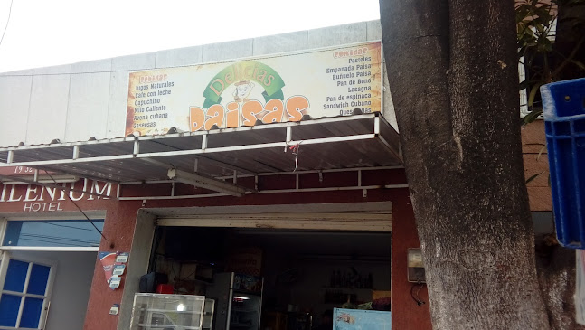 Delicias Paisas