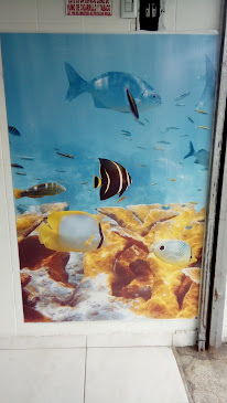 Opinii despre Pesqueria El Coralito în Armenia - Gastronomía y hostelería