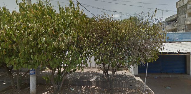 Restaurante BH Frida Bar