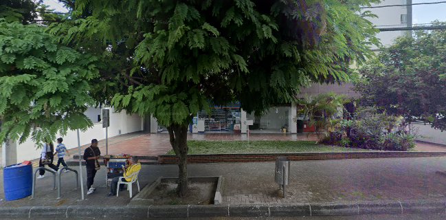 Smoothberry Frozen Yogurt