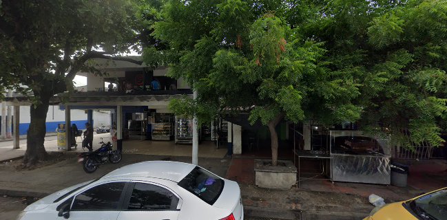 Soledad Simón Bolívar