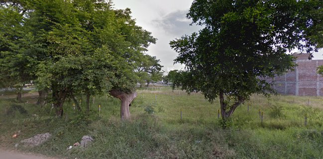 Opinii despre Oliva Pizza Garden în Tuluá - Gastronomía y hostelería