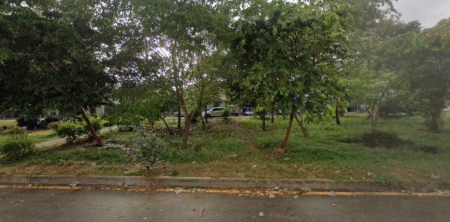 COMIDAS RAPIDAS NANDI FLOW