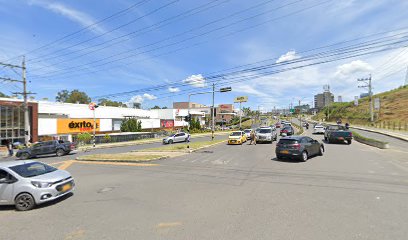 Leona Investements sas