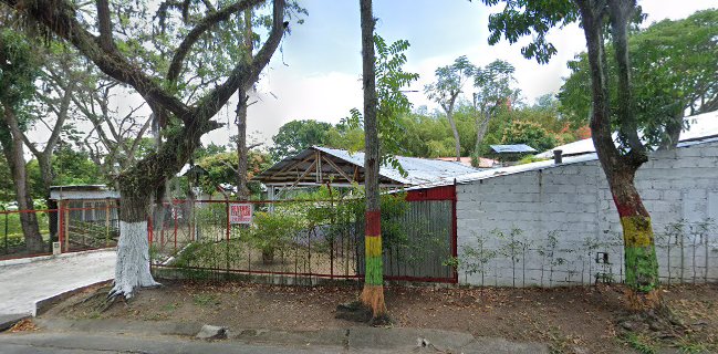 Sant Jerónimo campestre