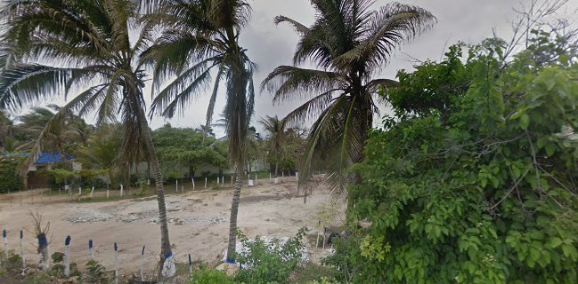 Mediterraneo Bar Restaurante