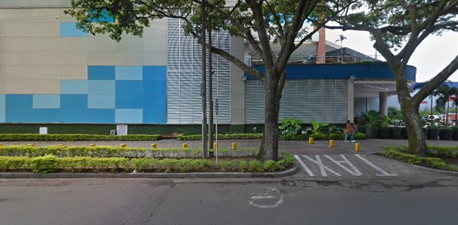 Hamburguesas el paso