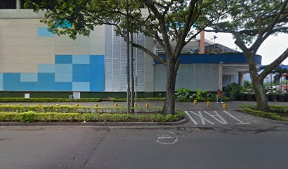 Hamburguesas el paso