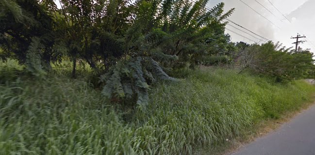 LA PORTADA EUSSE RESTAURANTE Y PARRILLA EN BUGA