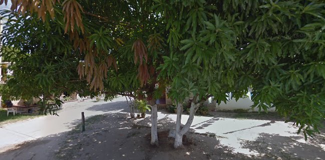 la guadalupana mini mercado