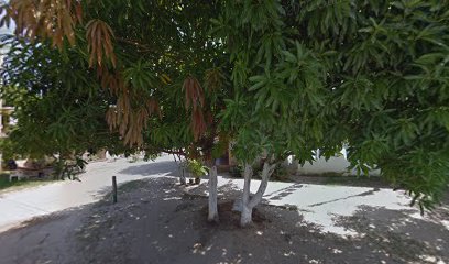 la guadalupana mini mercado