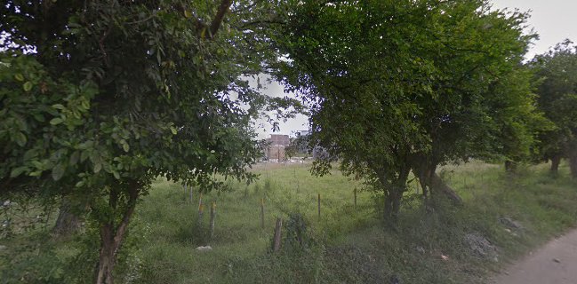 Oliva Pizza Garden - Tuluá