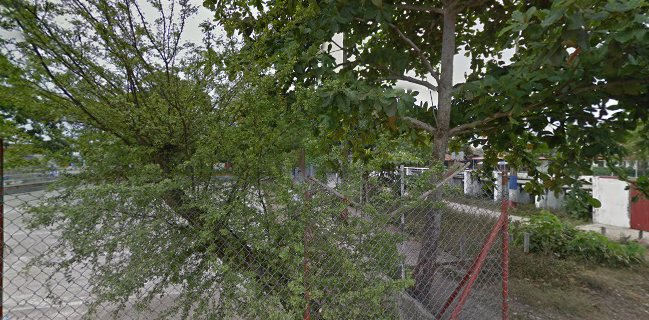 Jesús David Florez A