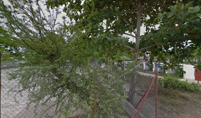 Jesús David Florez A