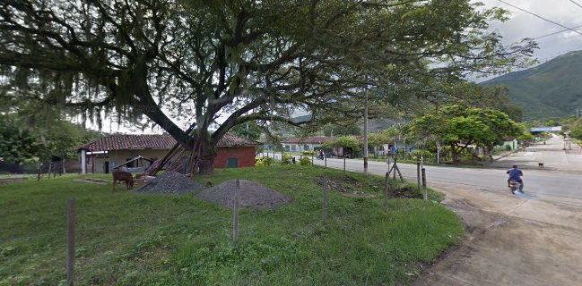 Bar Pacheco Dame La O