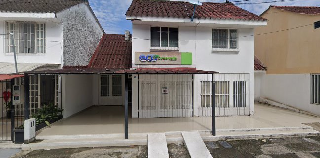 Jengibre Productos Gourmet Pasteleria