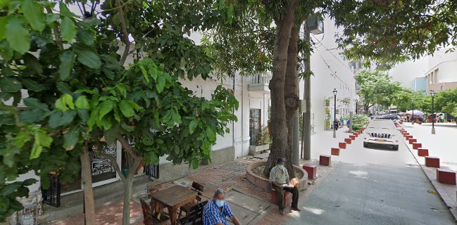 Pitaya Comida Rápida Saludable