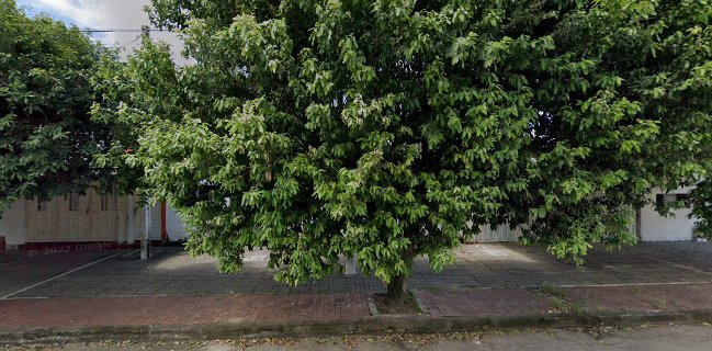 Las maravillas del mar