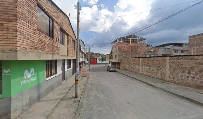 Fresas Orgánicas ACEM