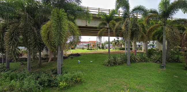 Barrita Burrito Buenavista