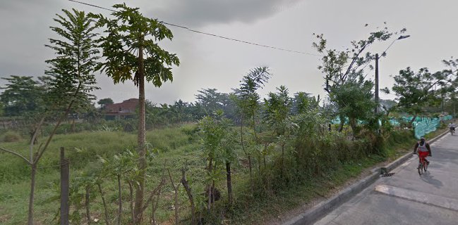 Asados Sobre La Roca