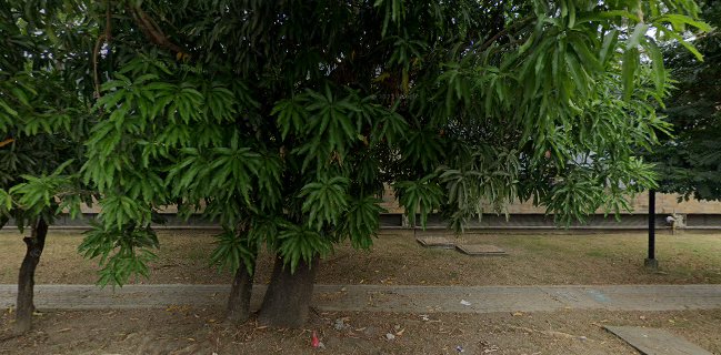 Opinii despre MASAI Brunch Legendario în Montería - Gastronomía y hostelería