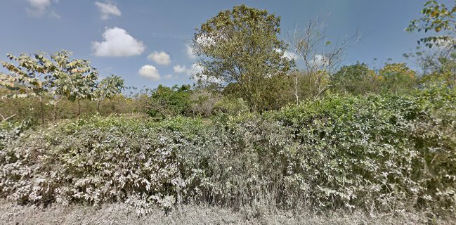 Deli Cassava Alimentos