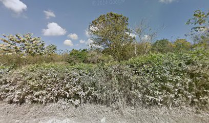 Deli Cassava Alimentos