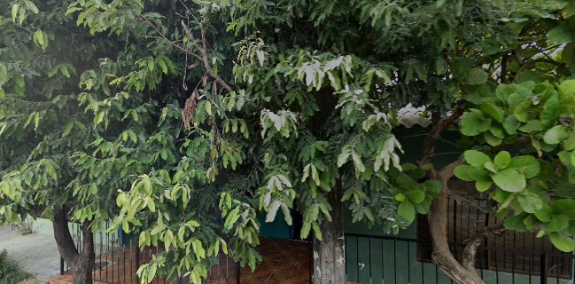 Hielos y bolis donde claudes