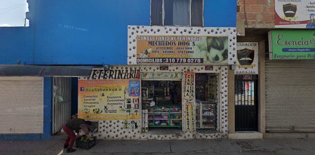 Semillas Frutos Jugos y Batidos