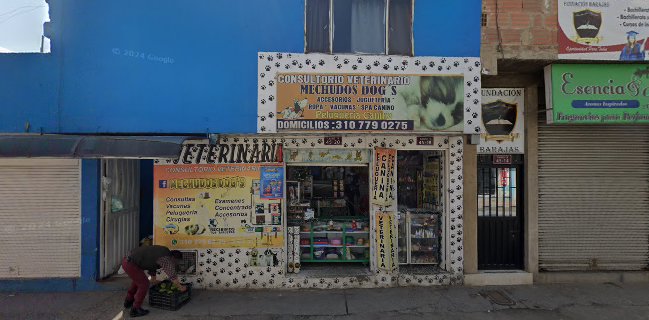 Semillas Frutos Jugos y Batidos - Soacha