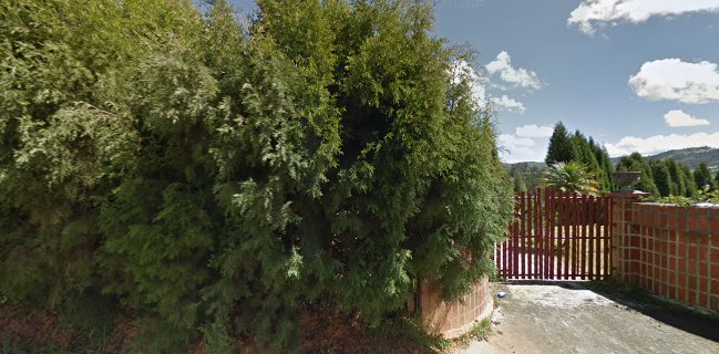 Soy Bosque Restaurante